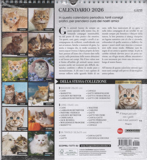 Calendario Gatti 2026 da Parete 28x30cm con Spirale - Calendario Felini