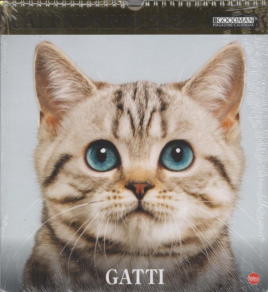 Calendario Gatti 2026 da Parete 28x30cm con Spirale - Calendario Felini